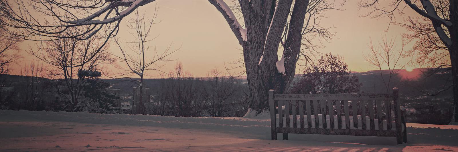 diligenthearts's profile banner image