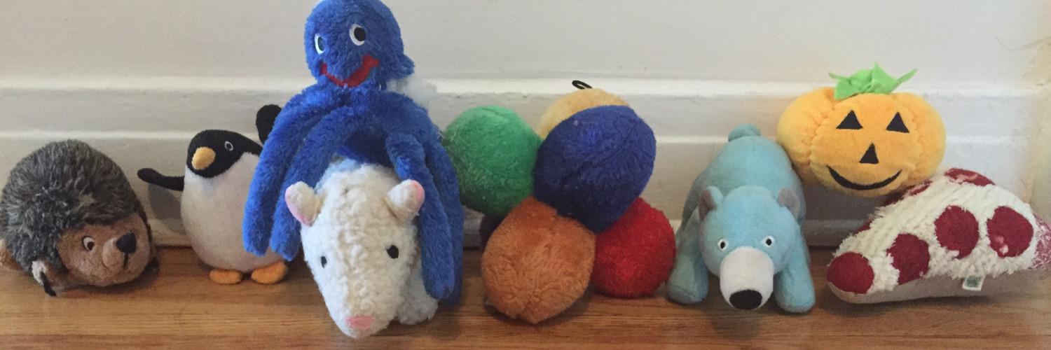 FrangoBlindDog's profile banner image