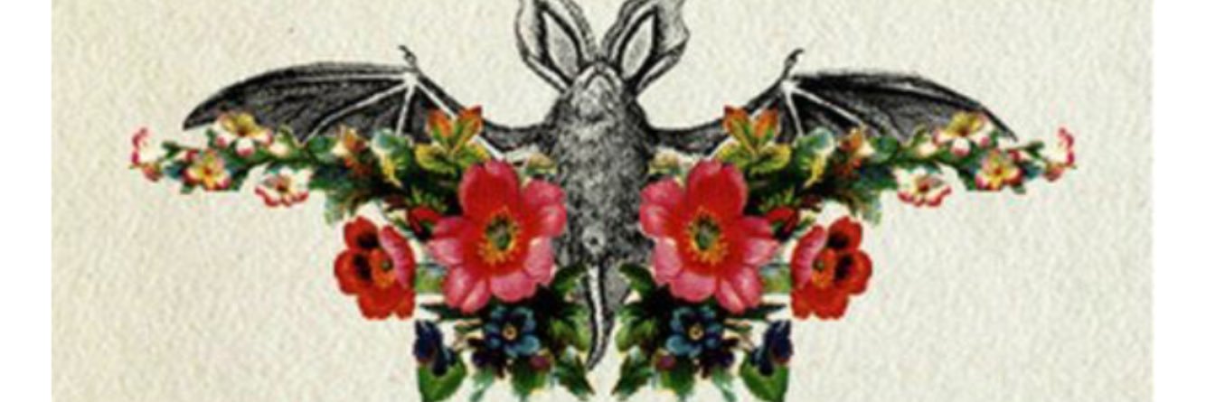 KaleighAnne716's profile banner image