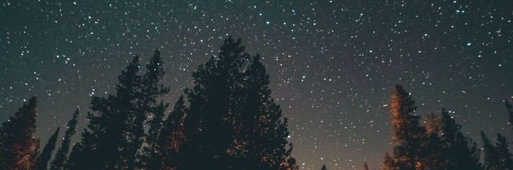 tomas_jml's profile banner image