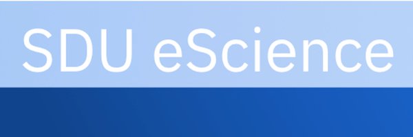 SDUeScience Profile Banner