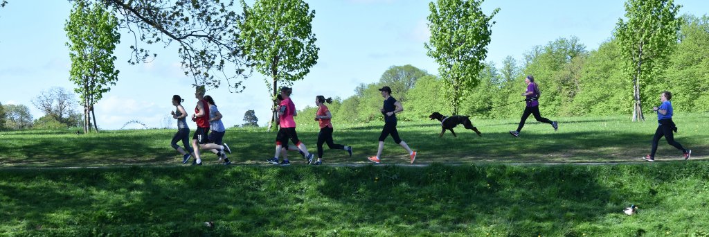 Castletown parkrun banner
