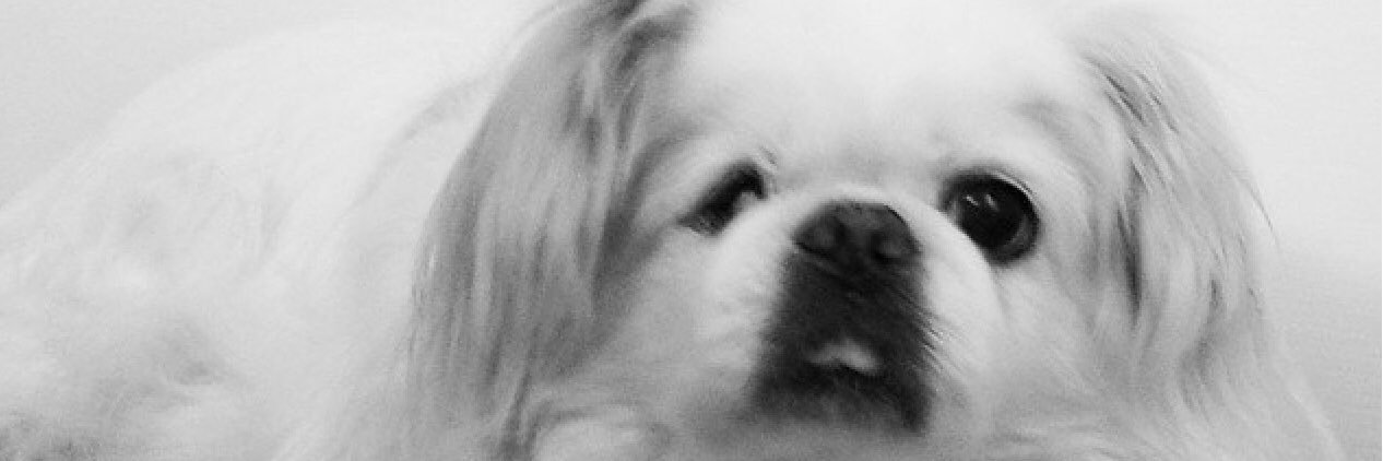 RonaldAronson's profile banner image