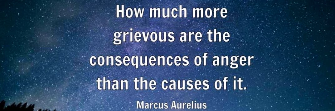 Evan Rhys Guilfoyle banner