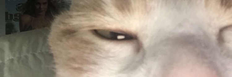 LukieP3's profile banner image