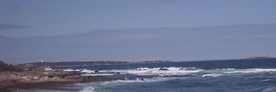 roxie545's profile banner image