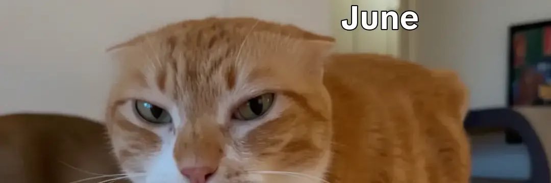 Savsleepsalot's profile banner image