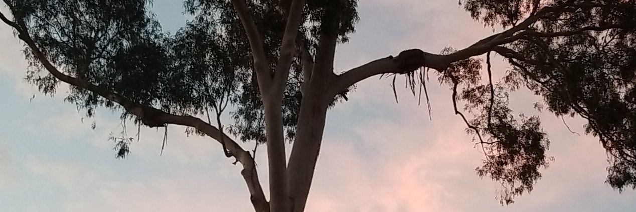k_lamoree's profile banner image