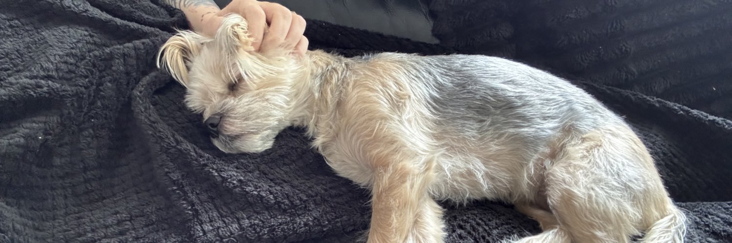 Laura 🏴󠁧󠁢󠁳󠁣󠁴󠁿💙 banner