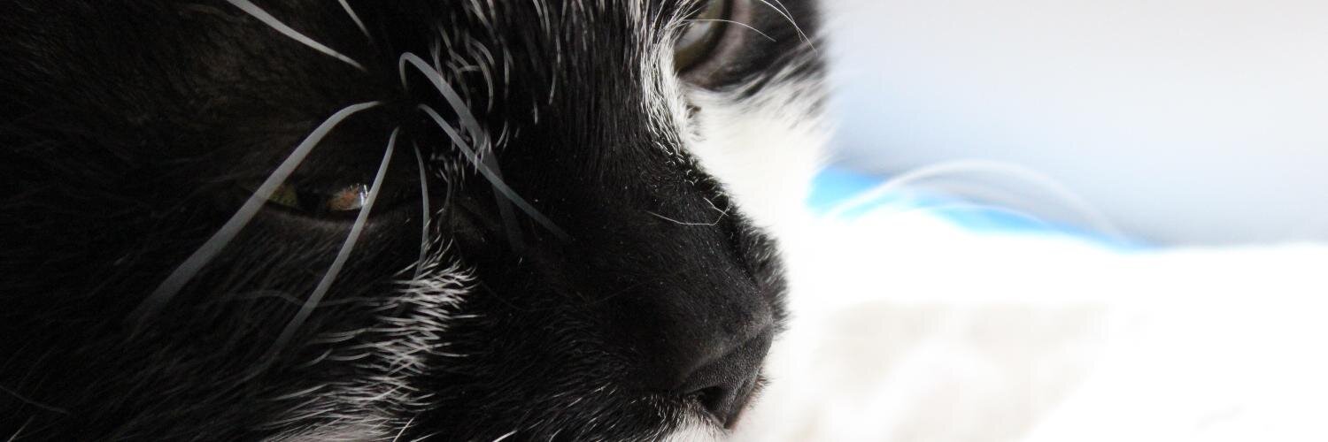 Khuum's profile banner image