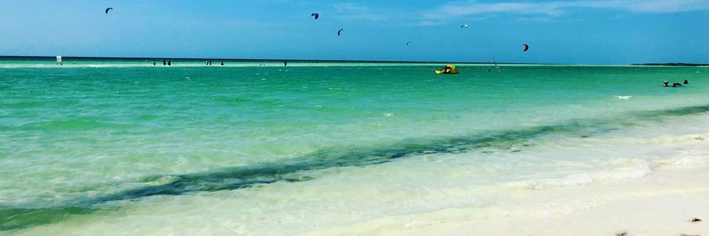 MerB_'s profile banner image