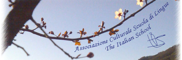 ItalianSchoolVB's profile banner image