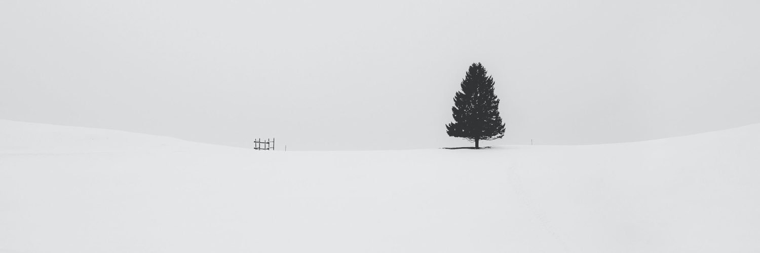Stay_Positive_Y's profile banner image