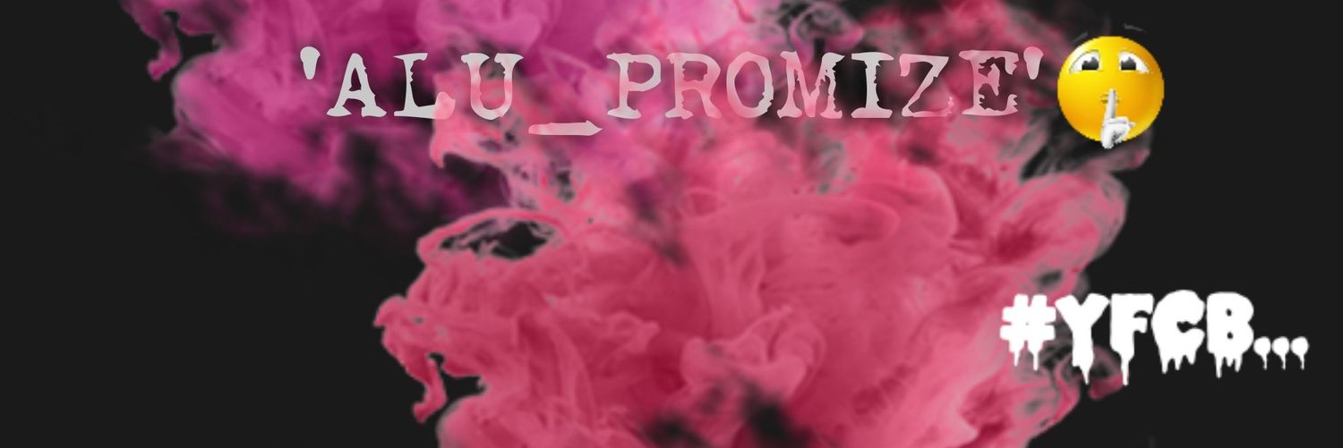 Promize banner