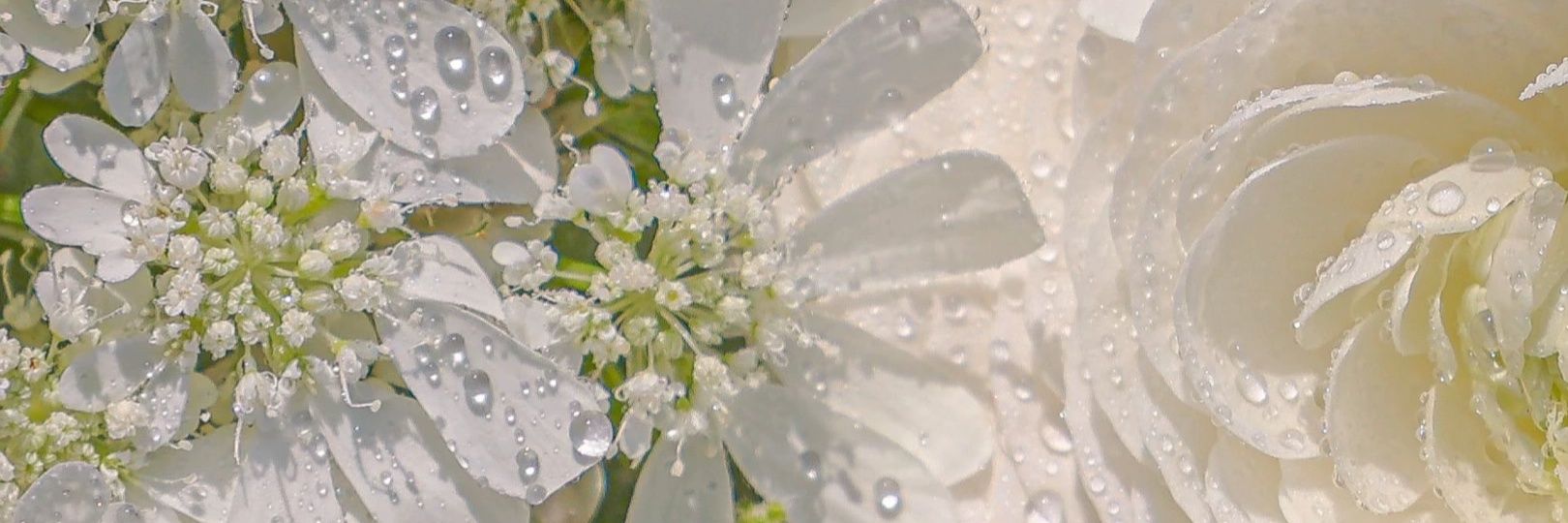 AmirulAni_'s profile banner image