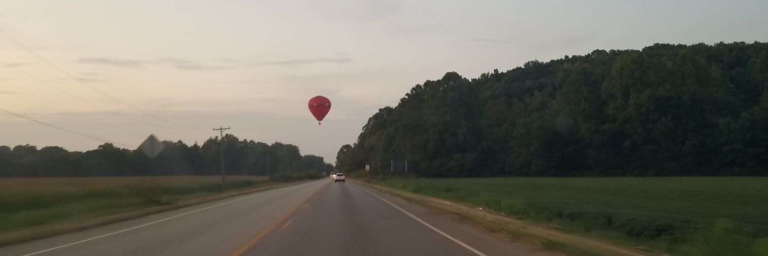 Alaina Ferree banner