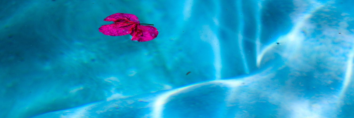 cp_pao's profile banner image