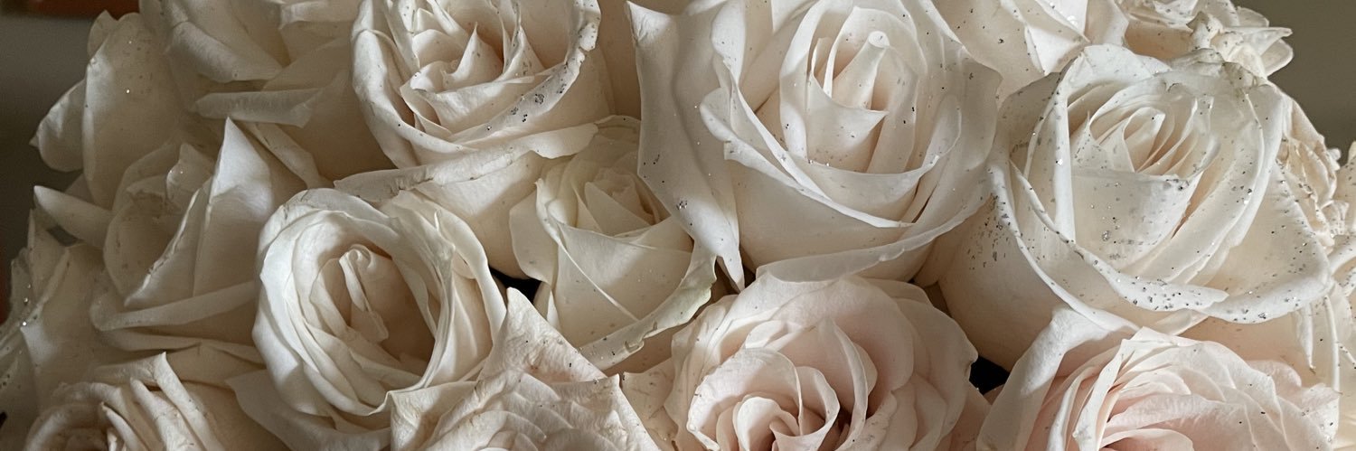 veritosartore's profile banner image