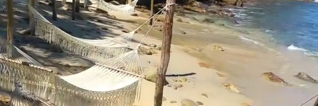 Armando Portillo banner