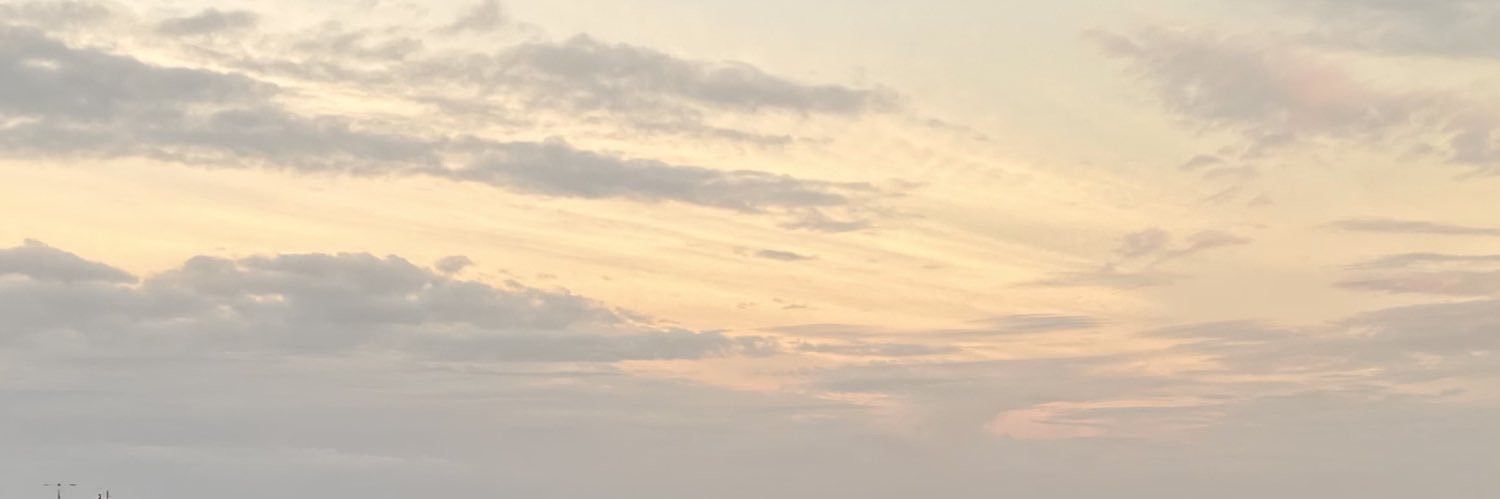 alednss's profile banner image