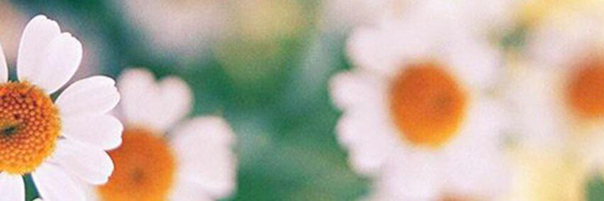 istephlo's profile banner image