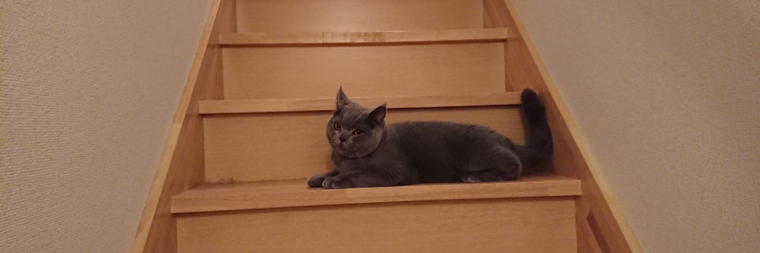 riyonper's profile banner image