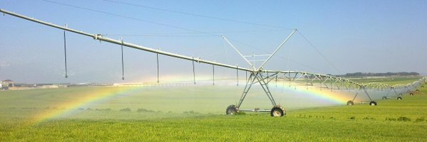 cingral Profile Banner