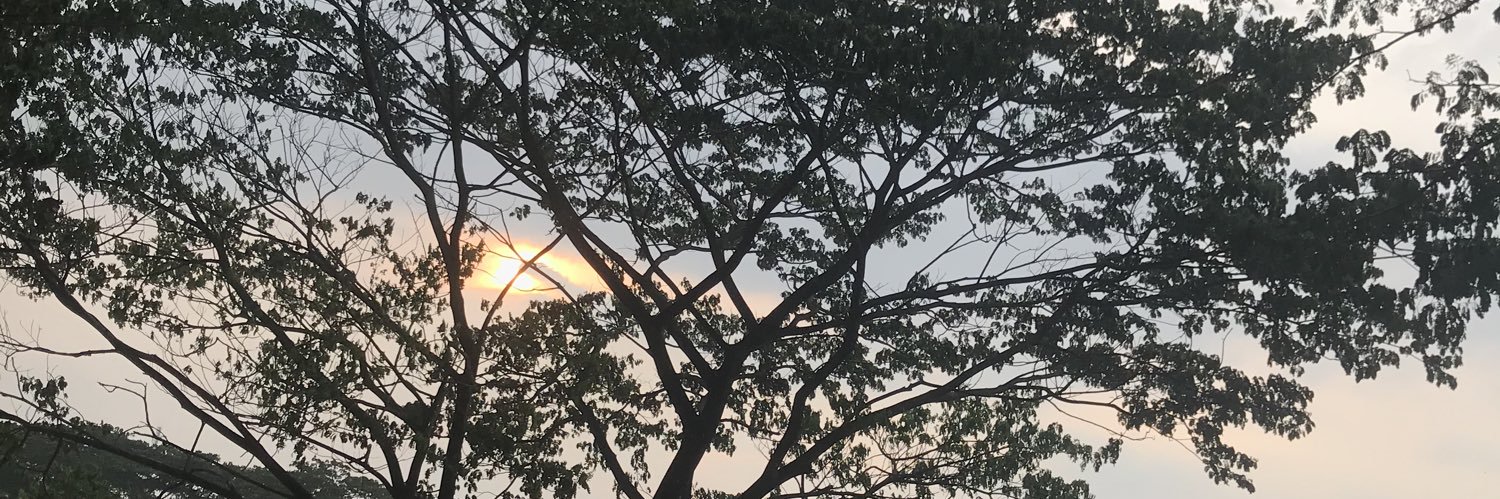 ackrmnlvi's profile banner image