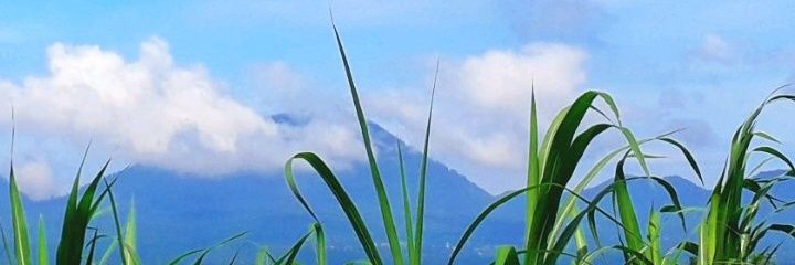 alyaaaniii's profile banner image