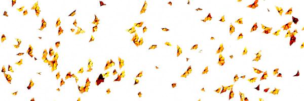 JaredOSullivan Profile Banner