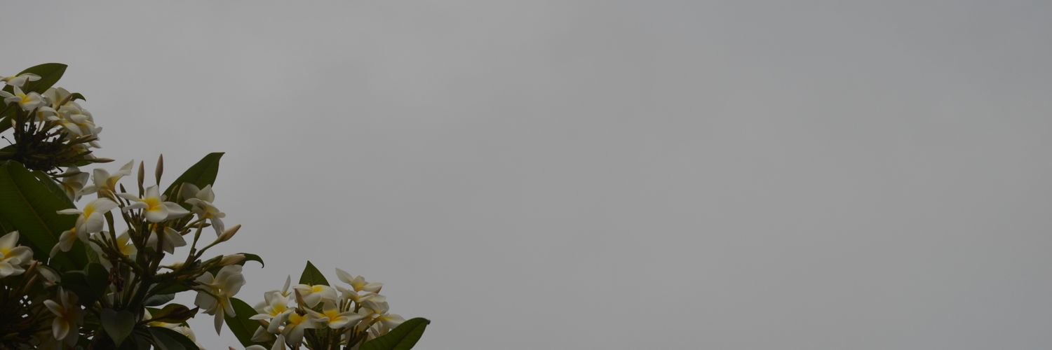 skyxbxth's profile banner image