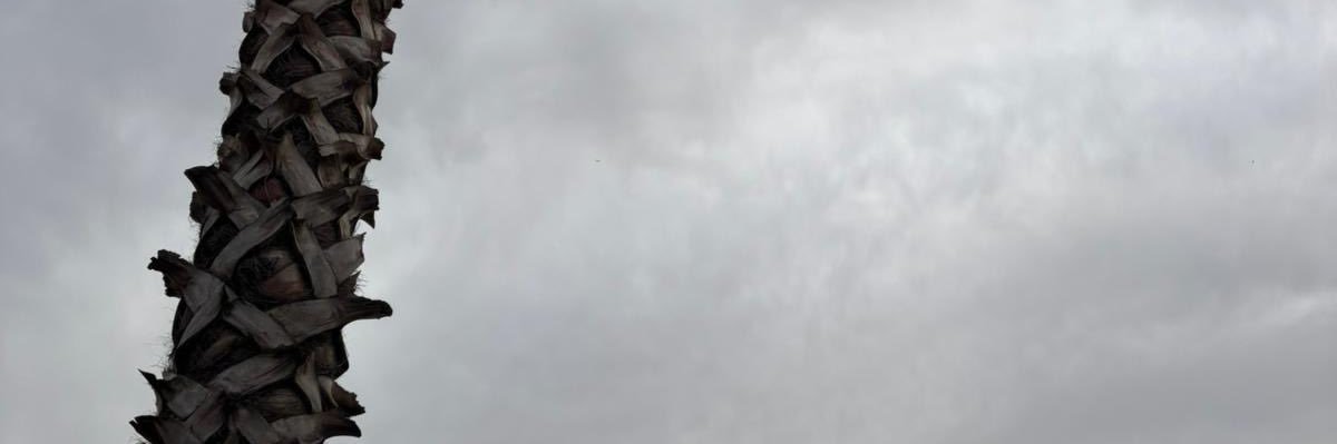 Batuhan2013's profile banner image