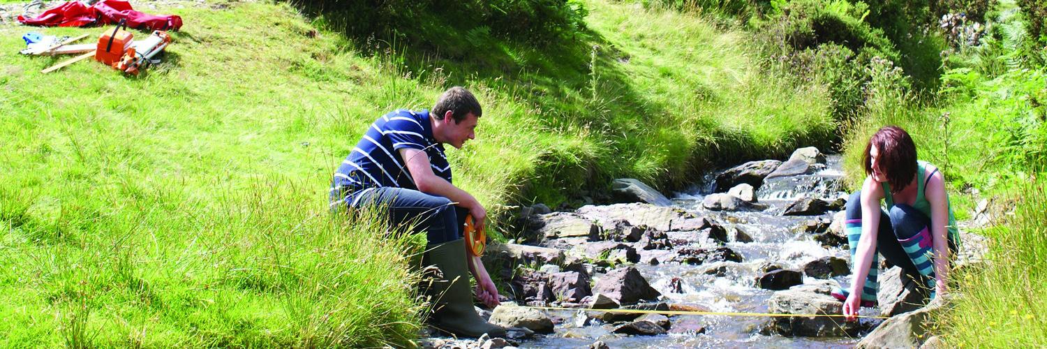 yearoffieldwork's profile banner image
