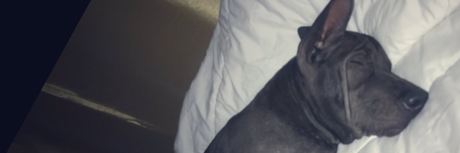 jiraprn's profile banner image