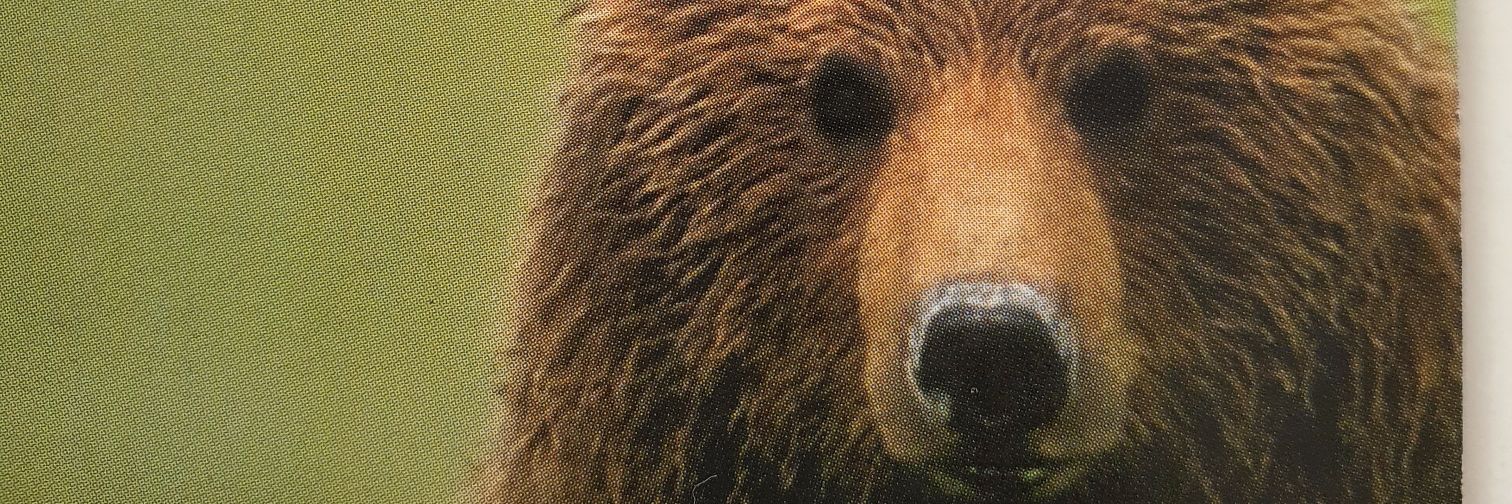ceepee2607's profile banner image