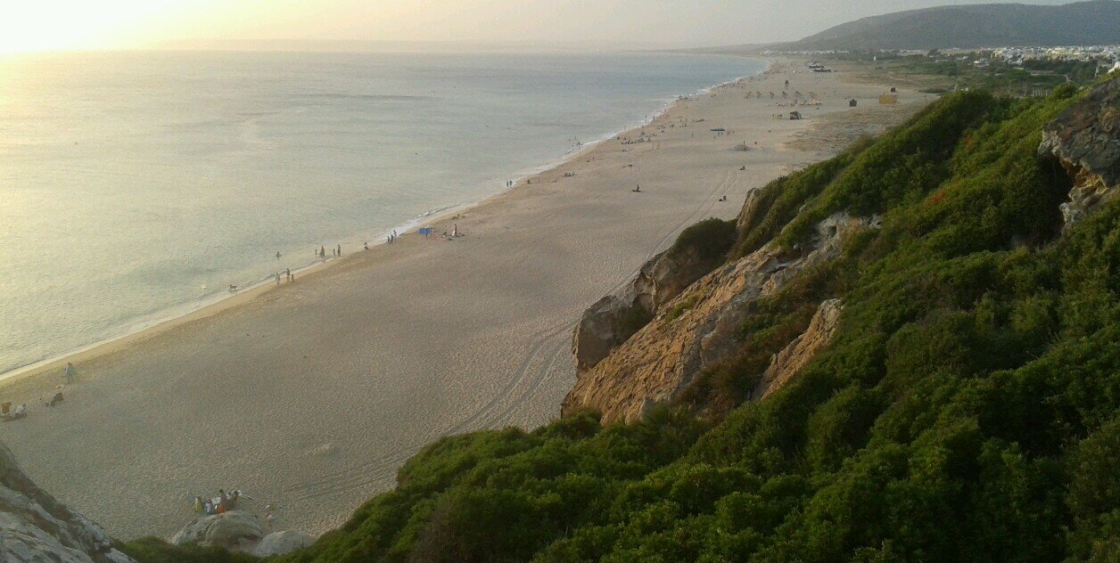 isabel campos banner