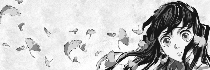 kasa. banner