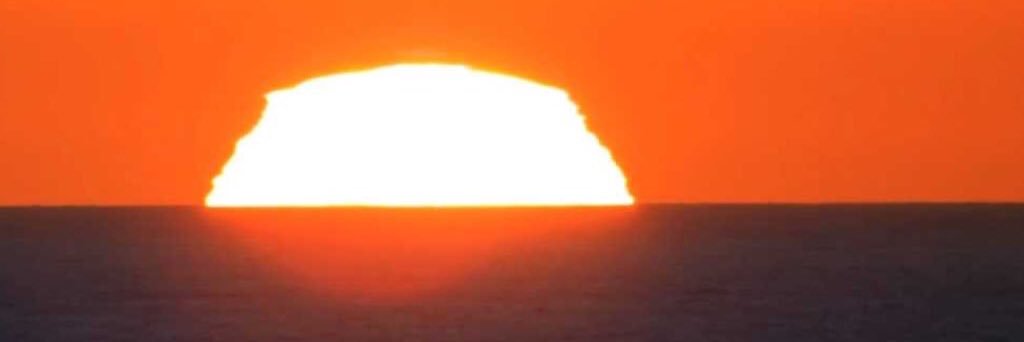 Collin masonic Bikini 👙🌸🦜🐑🎖 banner