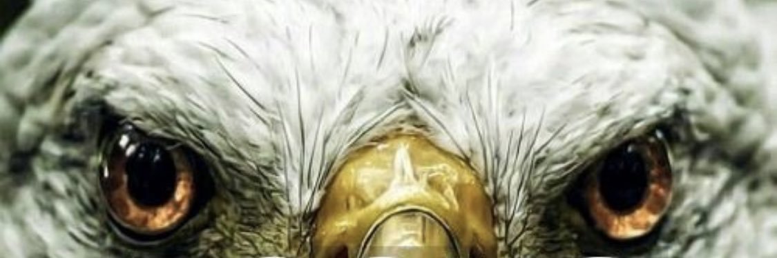 jerryong64's profile banner image