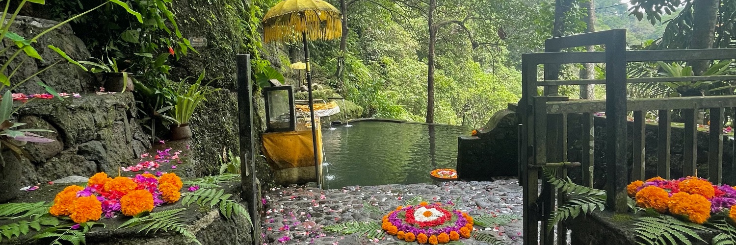 Corinne Vercher-Chaptal banner