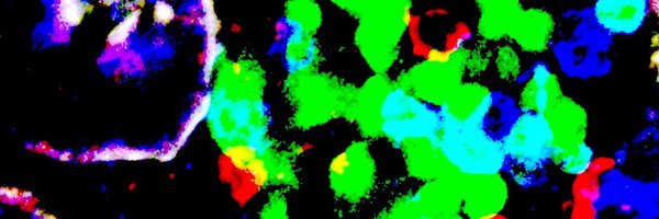 LucilleRankin Profile Banner