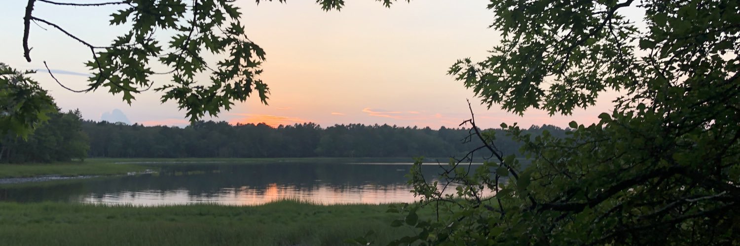 PeteMeachum's profile banner image