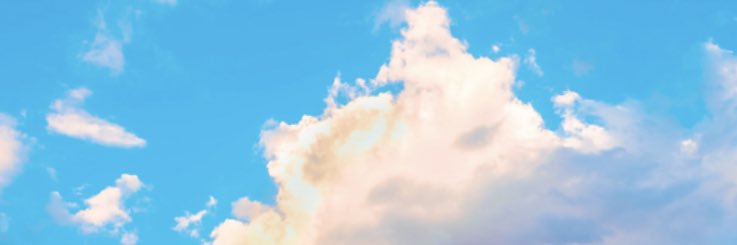 Fred Wondergem banner