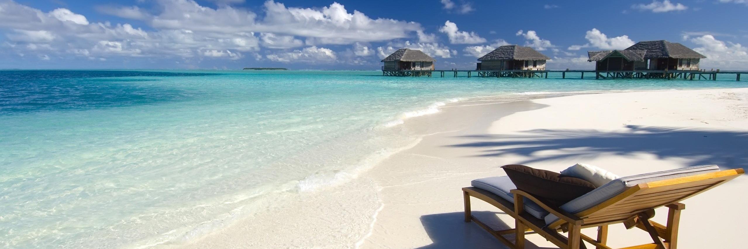 Samantha Bacon banner