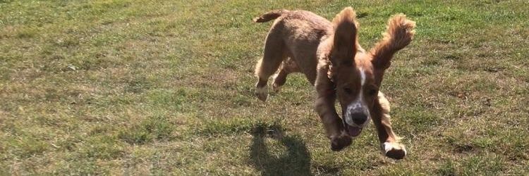 Daniel Philpott banner