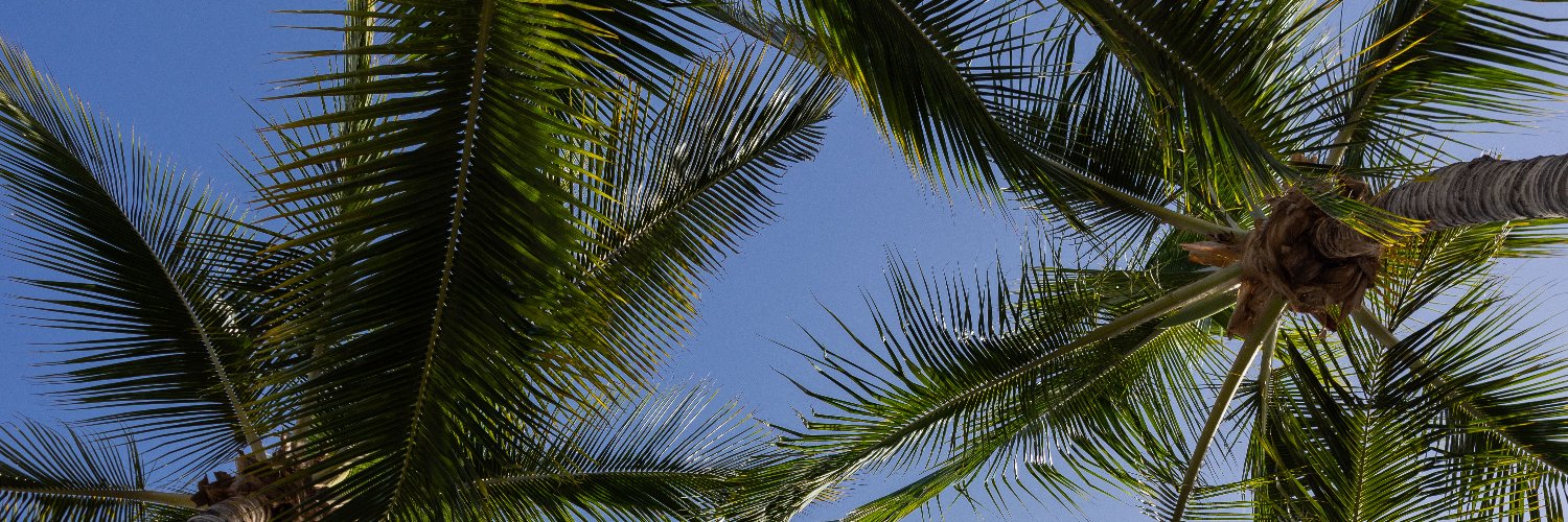 KoalaBay's profile banner image