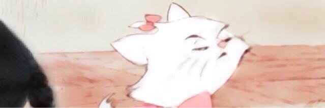 timidnjh's profile banner image