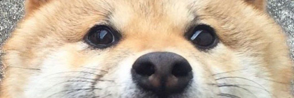 LexxKramer's profile banner image