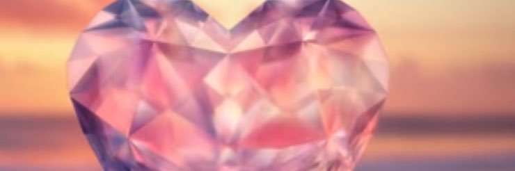 kitten9872's profile banner image