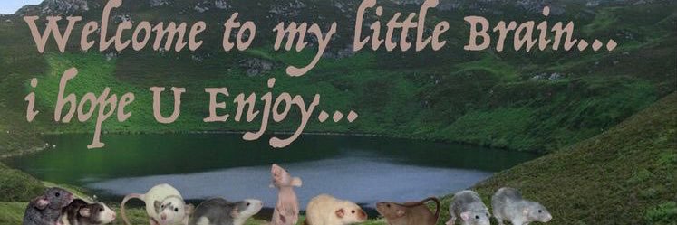ninliwag's profile banner image
